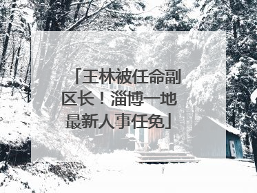 王林被任命副区长！淄博一地最新人事任免