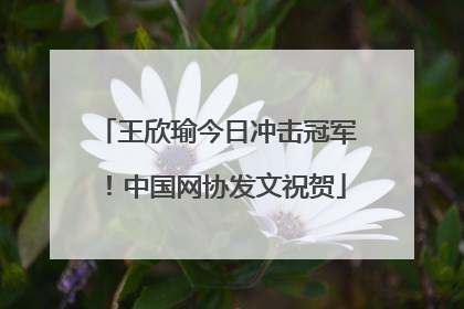 王欣瑜今日冲击冠军！中国网协发文祝贺