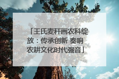 王氏麦秆画农科绽放：传承创新 奏响农耕文化时代强音