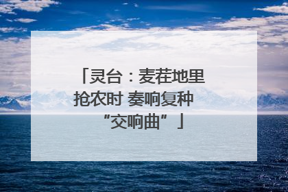 灵台：麦茬地里抢农时 奏响复种“交响曲”