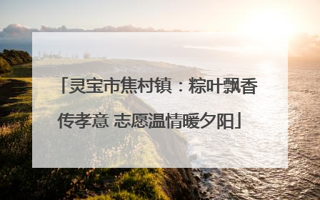 灵宝市焦村镇：粽叶飘香传孝意 志愿温情暖夕阳