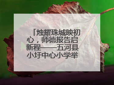 烛耀珠城映初心，师德报告启新程——五河县小圩中心小学举行师德报告会
