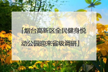 烟台高新区全民健身悦动公园迎来省级调研