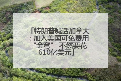 特朗普喊话加拿大：加入美国可免费用“金穹” 不然要花610亿美元