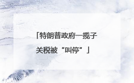 特朗普政府一揽子关税被“叫停”