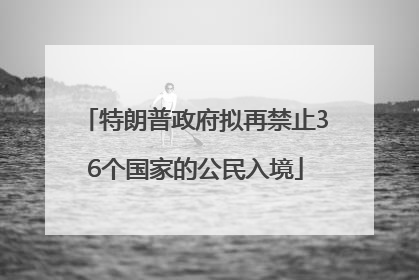 特朗普政府拟再禁止36个国家的公民入境