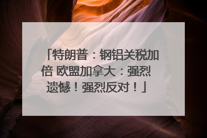 特朗普：钢铝关税加倍 欧盟加拿大：强烈遗憾！强烈反对！