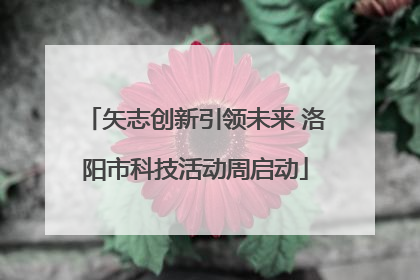 矢志创新引领未来 洛阳市科技活动周启动