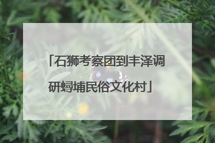 石狮考察团到丰泽调研蟳埔民俗文化村