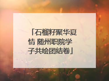 石榴籽聚华夏情 随州职院学子共绘团结卷