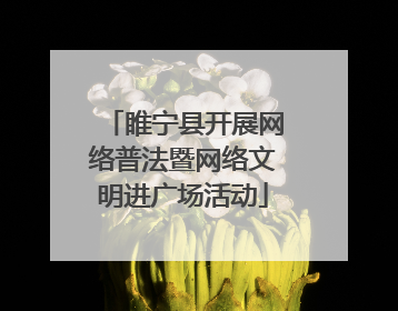 睢宁县开展网络普法暨网络文明进广场活动