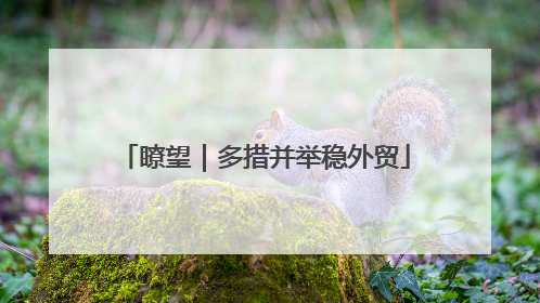 瞭望｜多措并举稳外贸
