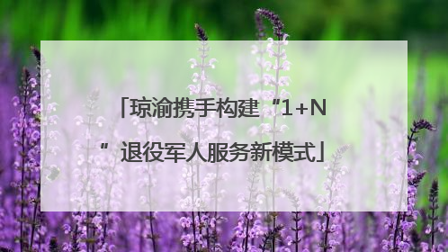 琼渝携手构建“1+N”退役军人服务新模式