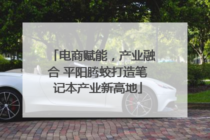 电商赋能，产业融合 平阳腾蛟打造笔记本产业新高地