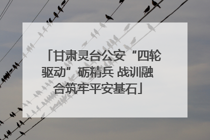甘肃灵台公安“四轮驱动”砺精兵 战训融合筑牢平安基石