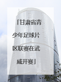 甘肃省青少年足球片区联赛在武威开赛