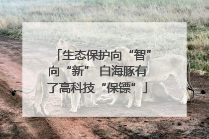 生态保护向“智”向“新” 白海豚有了高科技“保镖”