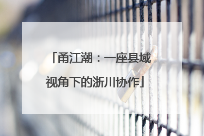 甬江潮：一座县域视角下的浙川协作