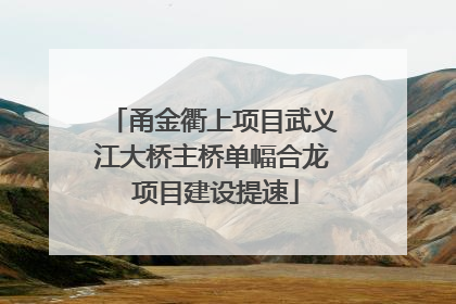 甬金衢上项目武义江大桥主桥单幅合龙 项目建设提速