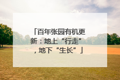百年张园有机更新：地上“行走”，地下“生长”
