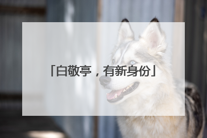白敬亭，有新身份