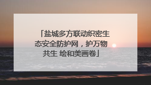 盐城多方联动织密生态安全防护网，护万物共生 绘和美画卷
