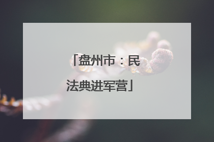盘州市：民法典进军营