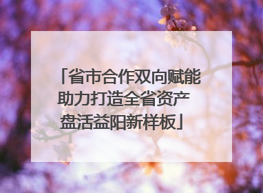 省市合作双向赋能 助力打造全省资产盘活益阳新样板