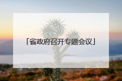 省政府召开专题会议