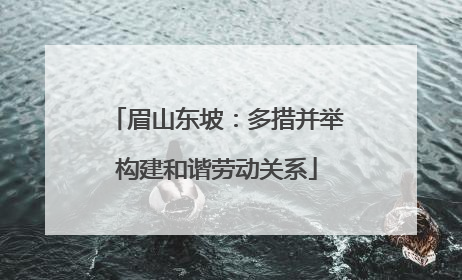 眉山东坡：多措并举构建和谐劳动关系