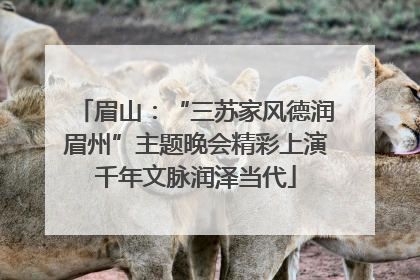 眉山：“三苏家风德润眉州”主题晚会精彩上演千年文脉润泽当代