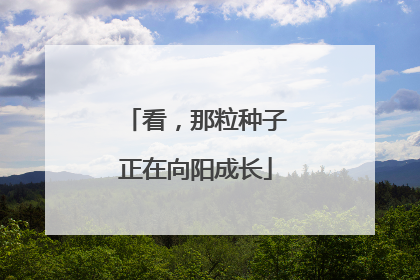 看，那粒种子正在向阳成长