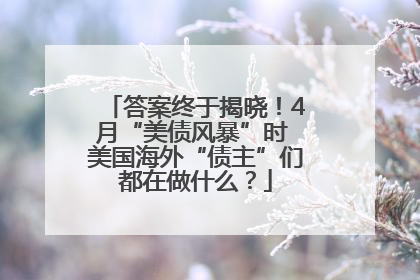 答案终于揭晓！4月“美债风暴”时 美国海外“债主”们都在做什么？