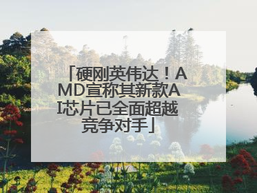 硬刚英伟达！AMD宣称其新款AI芯片已全面超越竞争对手