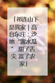 祁连山下是我家｜高台东庄：沙地“露水瓜” 甜了舌尖 富了农家