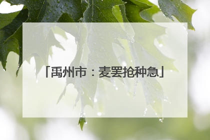 禹州市：麦罢抢种急