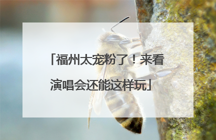 福州太宠粉了！来看演唱会还能这样玩