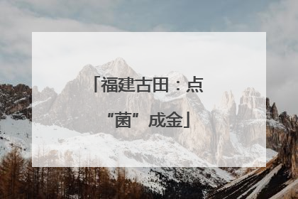 福建古田：点“菌”成金