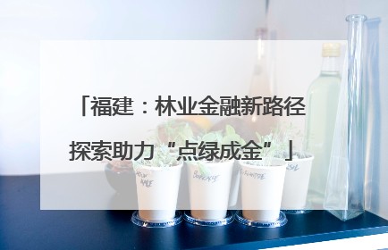 福建：林业金融新路径探索助力“点绿成金”