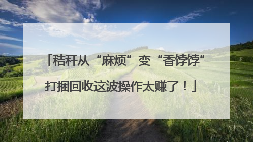 秸秆从“麻烦”变“香饽饽” 打捆回收这波操作太赚了！