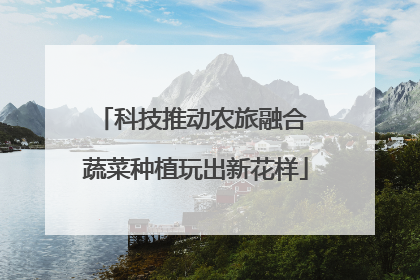 科技推动农旅融合 蔬菜种植玩出新花样