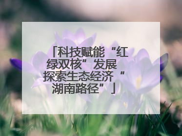 科技赋能“红绿双核”发展 探索生态经济“湖南路径”