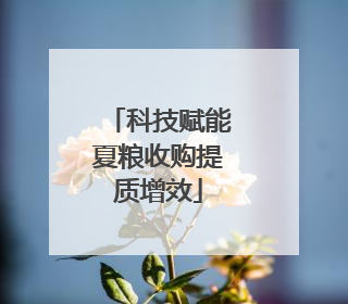 科技赋能夏粮收购提质增效