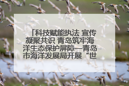 科技赋能执法 宣传凝聚共识 青岛筑牢海洋生态保护屏障—青岛市海洋发展局开展“世界海洋日”和“全国海洋宣传日”宣传活动