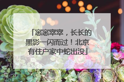 窸窸窣窣，长长的黑影一闪而过！北京有住户家中蛇出没