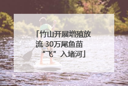 竹山开展增殖放流 30万尾鱼苗“飞”入堵河