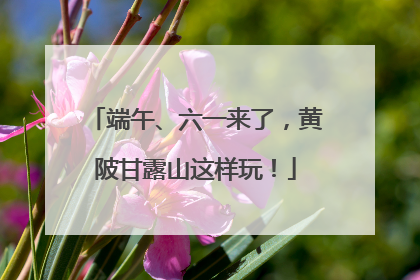 端午、六一来了，黄陂甘露山这样玩！