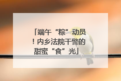 端午“粽”动员！内乡法院干警的甜蜜“食”光