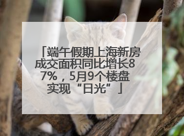 端午假期上海新房成交面积同比增长87%，5月9个楼盘实现“日光”