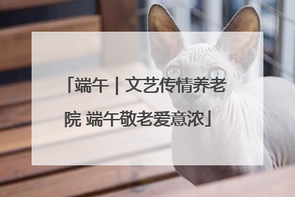 端午｜文艺传情养老院 端午敬老爱意浓